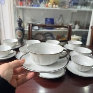 Juego de 11 dúos de té porcelana verbano con platería