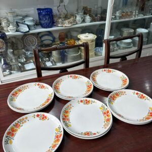 Juego de 12 platos playos
