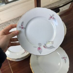 Juego de 12 platos de postre porcelana verbano