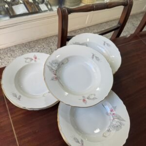 Juego de 12 platos hondos porcelana verbano