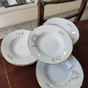 Juego de 12 platos hondos porcelana verbano