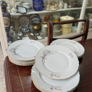 Juego de 11 platos playos porcelana verbano