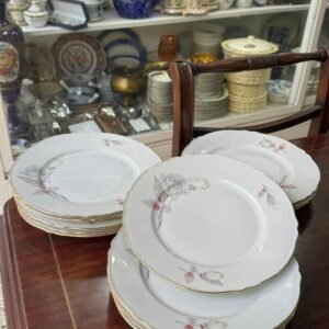 Juego de 11 platos playos porcelana verbano