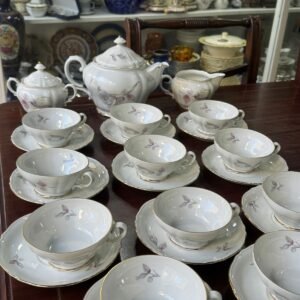 Juego de té para 11 personas porcelana verbano
