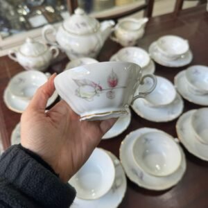 Juego de té para 11 personas porcelana verbano