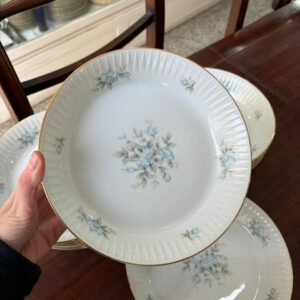 Juego de 11 platos hondos porcelana tsuji