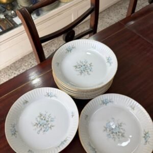 Juego de 11 platos hondos porcelana tsuji