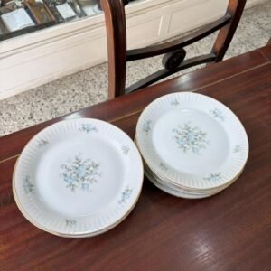 Juego de 12 platos playos porcelana tsuji