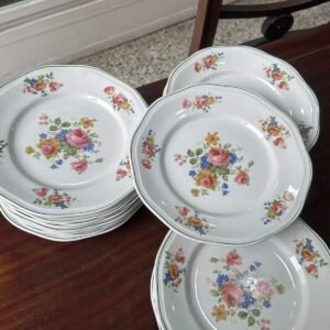 Juego de 12 platos playos italianos