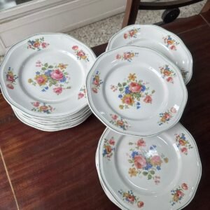 Juego de 12 platos playos italianos