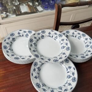 Juego de 12 platos hondos porcelana verbano