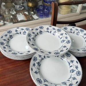 Juego de 12 platos hondos porcelana verbano