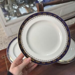 Juego de 10 platos de postre ingleses alfred meakin