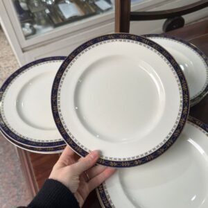 Juego de 12 platos playos ingleses alfred meakin