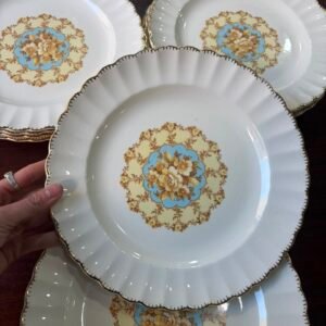 Juego de 8 platos playos americanos