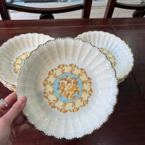 Juego de 11 platos hondos americanos