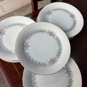 Juego de 12 platos playos porcelana tsuji