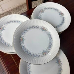Juego de 12 platos playos porcelana tsuji