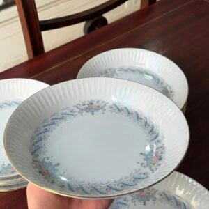 Juego de 12 platos hondos porcelana tsuji