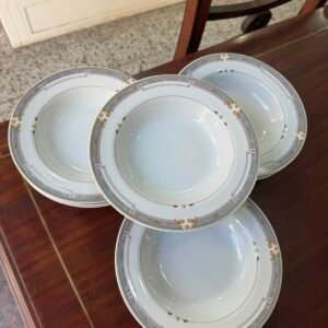 Juego de 10 platos hondos porcelana apto lavavajillas y microondas