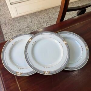 Set de 5 platos de postre porcelana apto lavavajillas y microondas