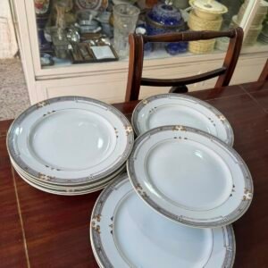 Juego de 10 platos playos porcelana grandes apto lavavajillas y microondas