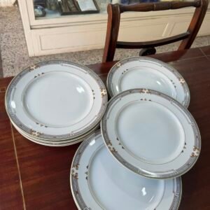 Juego de 10 platos playos porcelana grandes apto lavavajillas y microondas