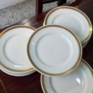 Juego de 12 platos playos