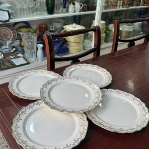 Set de 5 platos playos ingleses