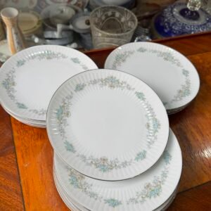 Juego de 12 platos playos porcelana tsuji