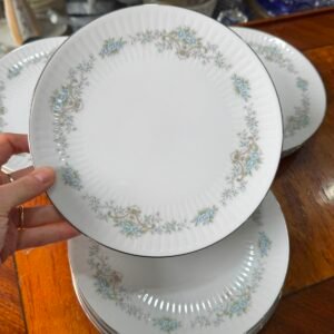 Juego de 11 platos de postre porcelana tsuji