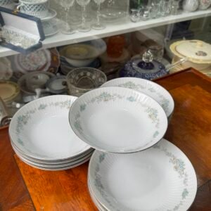 Juego de 12 platos hondos porcelana tsuji