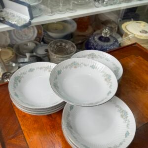 Juego de 12 platos hondos porcelana tsuji