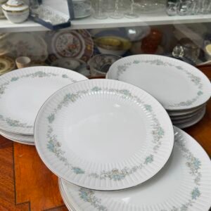 Juego de 12 platos playos porcelana tsuji