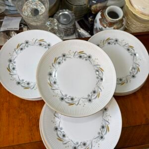 Juego de 12 platos de postre porcelana verbano