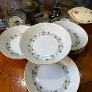 Juego de 9 platos hondos porcelana verbano