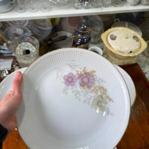 Juego de 12 platos playos porcelana verbano