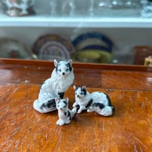 Set de 3 gatos