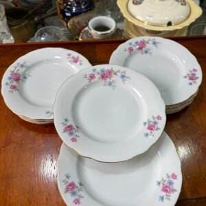Juego de 12 platos de postre porcelana verbano