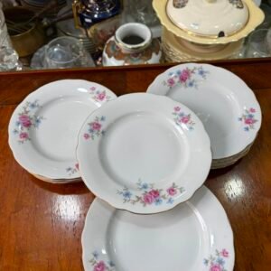 Juego de 12 platos de postre porcelana verbano