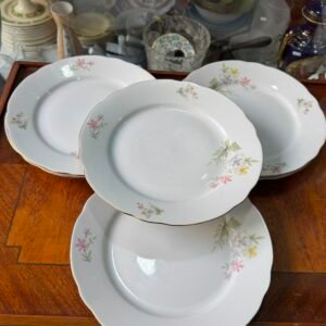 Juego de 6 platos playos porcelana verbano