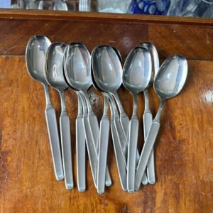 Juego de 12 cucharas principales GAMUZA