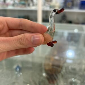 Pato de murano