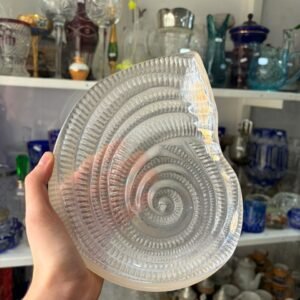 Despojador caracol