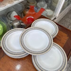 Juego de 12 platos hondos porcelana verbano