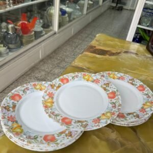 Juego de 12 platos playos ARCOPAL FRANCESES