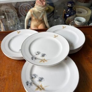 Juego de 12 platos playos hartford