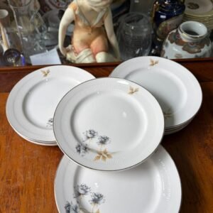 Juego de 12 platos playos hartford