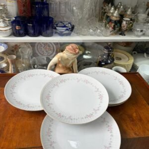 Set de 5 platos playos porcelana Tsuji