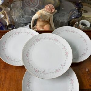 Set de 5 platos playos porcelana Tsuji